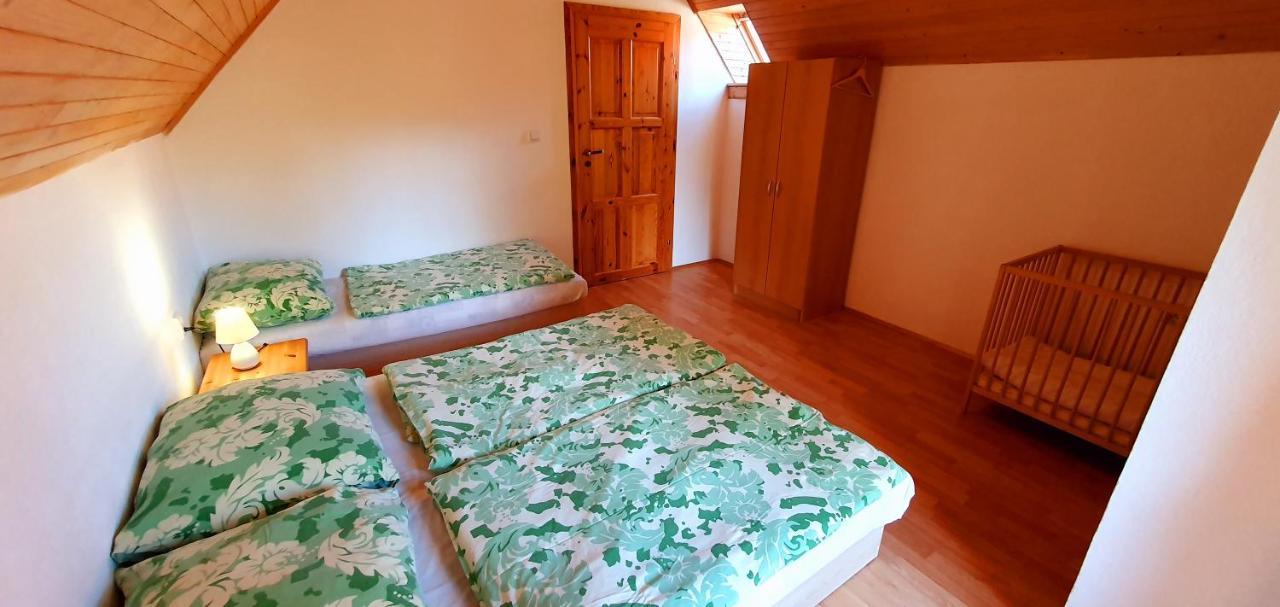 Vilka Cibulka A Chata Cesnacik Ižipovce Buitenkant foto